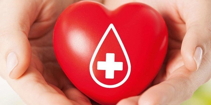 Як підготувати організм до програми донації: чекап, вітаміни та спосіб життя Як підготувати організм до програми донації: чекап, вітаміни та спосіб життя