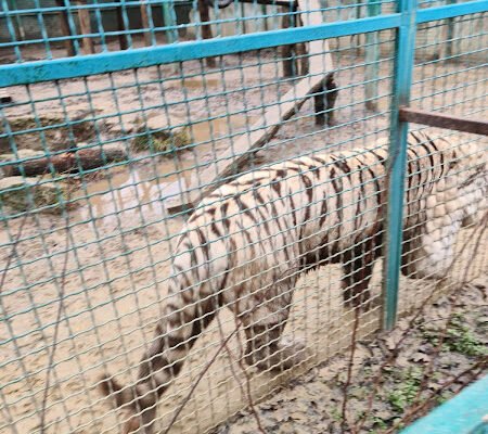 ЕкоПарк у Харкові: Природа та Розваги для Всіх