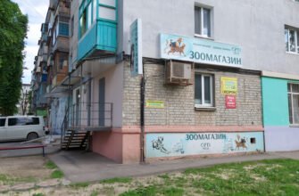 Зоомагазин у Харкові: все для ваших улюбленців