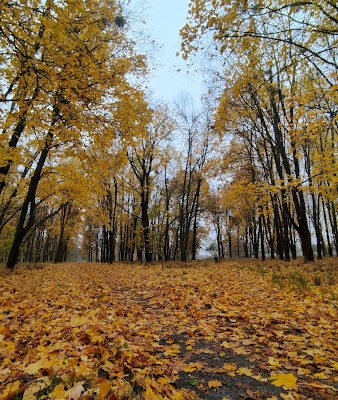 Парк Перемоги: Відпочинок у серці Харкова