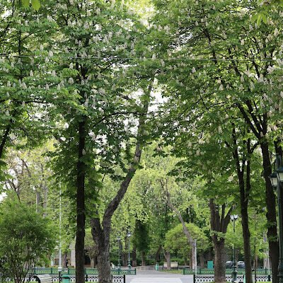 “Міський парк: Сквер Незалежності в Харкові – огляд”