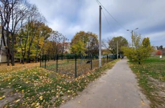 Парк для собак у Харкові: ідеальна площадка для вигулу