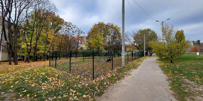 Парк для собак у Харкові: ідеальна площадка для вигулу