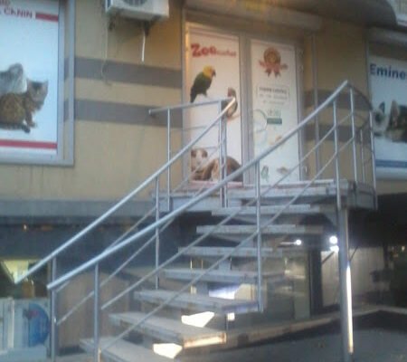 Зоомаркет Чемпіон, Харків: Все для улюбленців 269G+FF