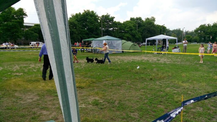 Стадіон Піонер: 267Q+FJ, Харків, Україна – спорт і події Стадіон Піонер: 267Q+FJ, Харків, Україна – спорт і події