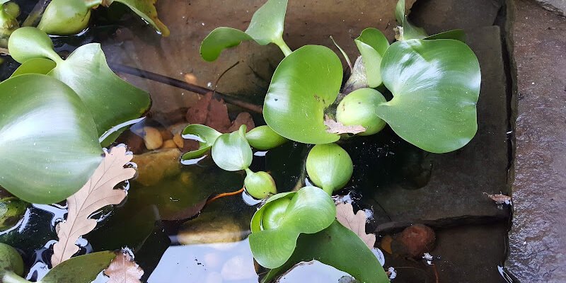 Сауна “Добра Банька” в Харкові: відпочинок 2569+5C Сауна “Добра Банька” в Харкові: відпочинок 2569+5C