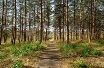 Чарівний Дендрарій Докучаєва в Харкові