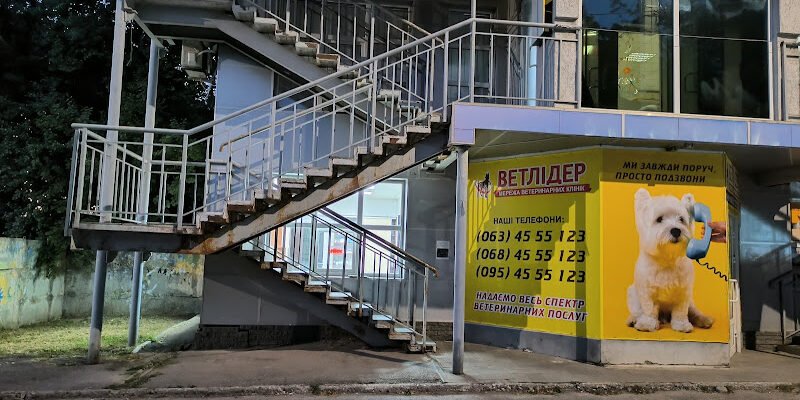 Ветеринарна клініка Ветлідер у Харкові: турбота та досвід Ветеринарна клініка Ветлідер у Харкові: турбота та досвід