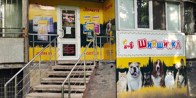 Шиншилки в Зоомагазині 28CP+V2, Харків, Україна