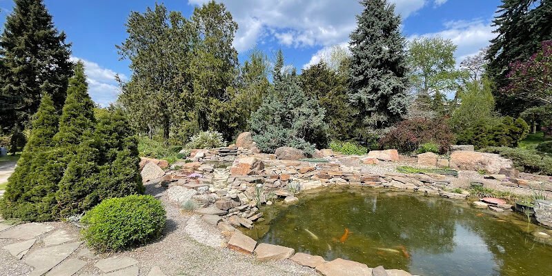 Харківський ботанічний сад: краса природи та досліджень