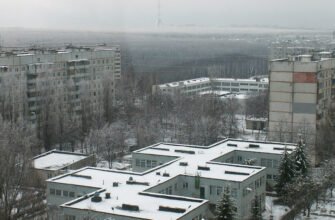 Дитсадок №446, Харків 3675+FP: Всебічний розвиток