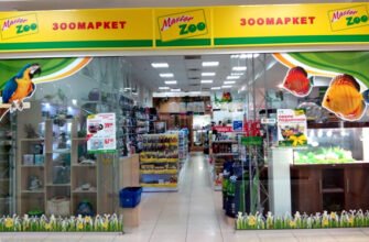 Зоомагазин MasterZoo в Харкові: комфорт і турбота для улюбленців