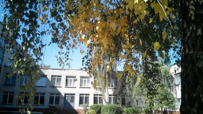 Харківська школа №56: освіта в центрі Харкова