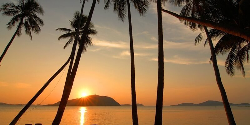 Туристичне бюро Golden Monkey | 263W+M9 Харків, Україна