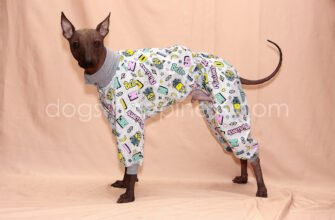 Зоомагазин “Dog’s Happiness”: Одежда для собак Харків