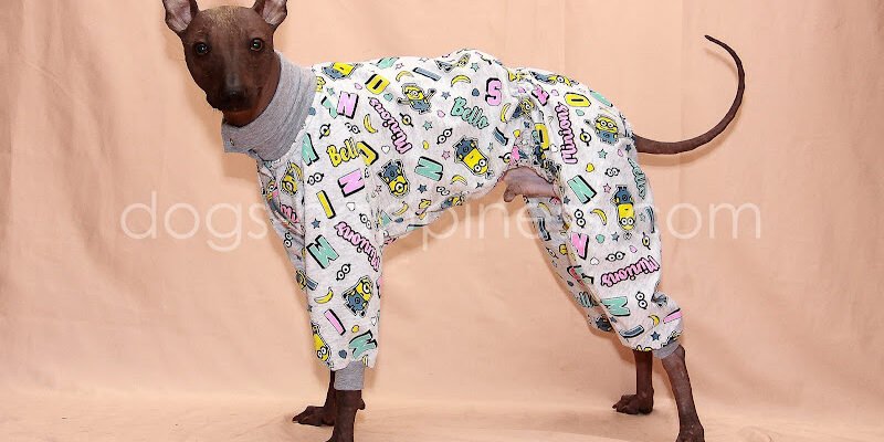 Зоомагазин “Dog’s Happiness”: Одежда для собак Харків