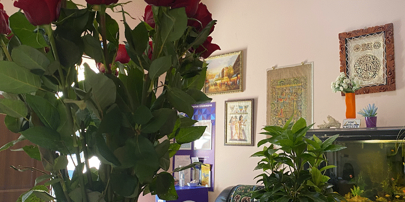 Туристичне бюро X6R6+7Q, Харків: відкрийте місто!