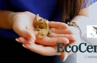 Ветеринарна клініка ЕкоЦентр для тварин у Харкові