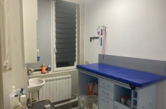 Ветеринарна клініка StatusVet у Харкові – турбота про улюбленців