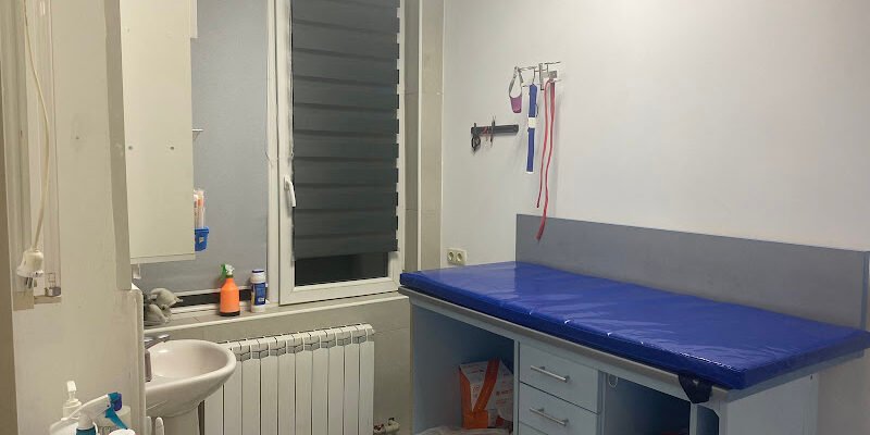 Ветеринарна клініка StatusVet у Харкові – турбота про улюбленців