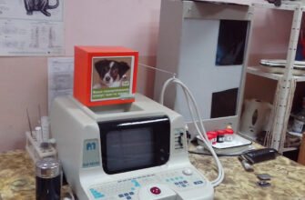 Швидка ветеринарна допомога на дому в Харкові