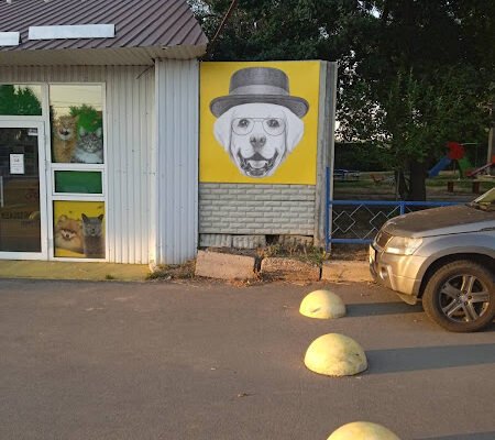 Зоомагазин на Велозаводському мосту: Шиншилка Х7JM+3H Харків Зоомагазин на Велозаводському мосту: Шиншилка Х7JM+3H Харків