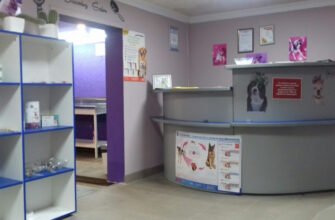 Ветеринарна клініка Гав Мур у Харкові – турбота поруч