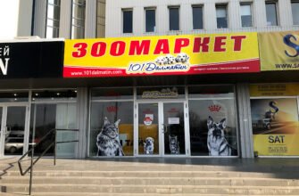 Зоомагазин 101Далматин: кращі товари в Харкові