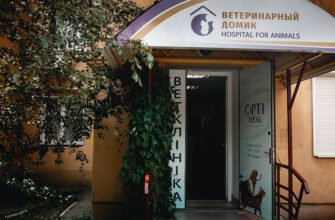 Ветеринарна клініка у Харкові: турбота про вашого улюбленця