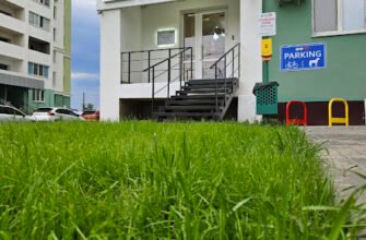 Ветеринарна клініка Харків – Доктор Гаф: турбота про ваших улюбленців