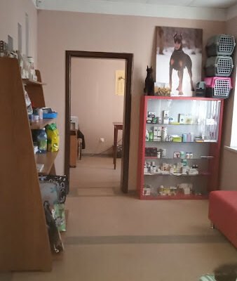 Ветеринарна клініка Харків – турбота про Арішу