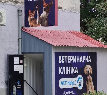 Ветеринарна клініка VetHelp Харків: піклування про улюбленців Ветеринарна клініка VetHelp Харків: піклування про улюбленців