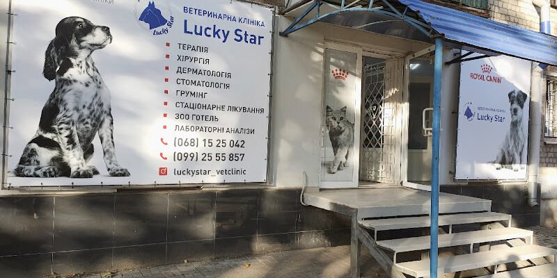 Ветеринарна клініка Lucky Star: Харків та Одеса