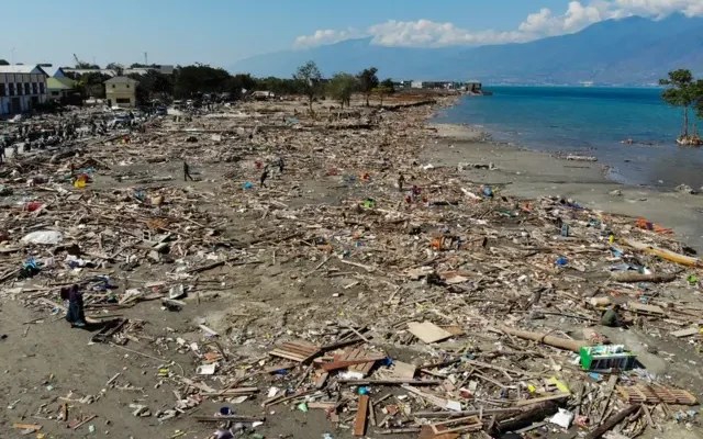 Наслідки цунамі: вплив стихії на екосистему та людські життя Наслідки цунамі: вплив стихії на екосистему та людські життя