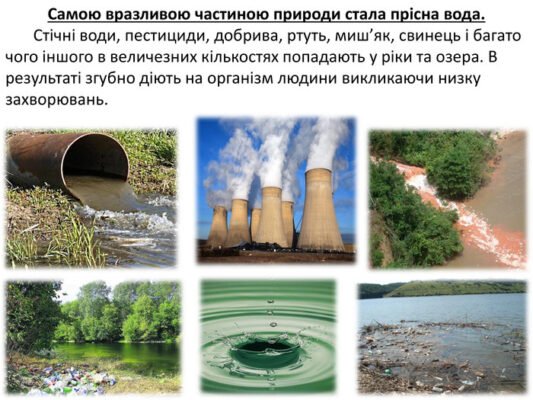Негативні наслідки впливу людини на природу проявилися: ключові факти Негативні наслідки впливу людини на природу проявилися: ключові факти