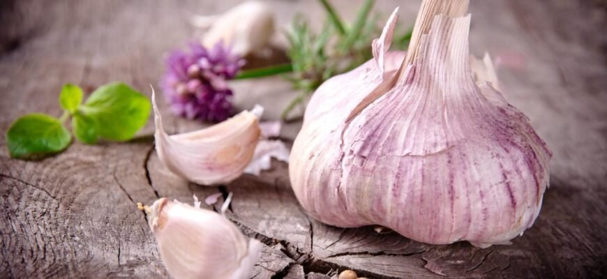 Чи можна ковтати часник: переваги, ризики та поради експертів Чи можна ковтати часник: переваги, ризики та поради експертів