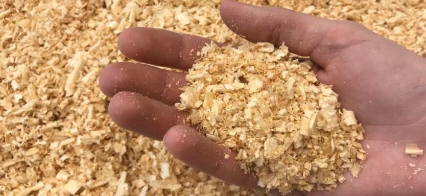 Чи можна насипати тирсу на город: користь та ризики для вашого врожаю Чи можна насипати тирсу на город: користь та ризики для вашого врожаю