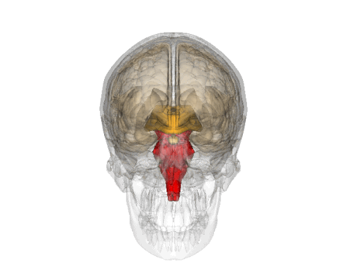 Наслідки перенесеної нейроінфекції МКХ-10: що варто знати