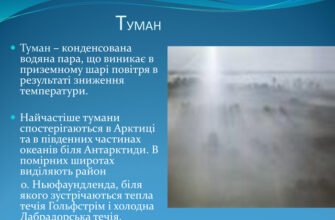 Чи можна назвати туман водяною парою: детальний аналіз феномену Чи можна назвати туман водяною парою: детальний аналіз феномену