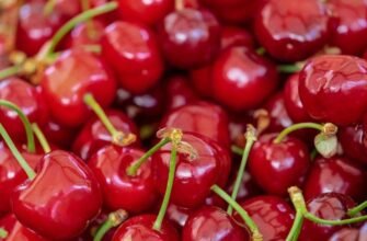 Чи можна їсти черешні при цукровому діабеті: поради та рекомендації
