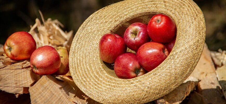 Чи можна їсти яблука при цукровому діабеті: поради фахівців і дослідження