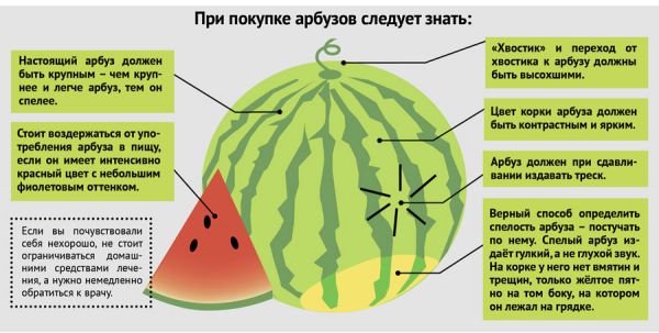Чи можна кавун на гв: рекомендації для безпечного годування