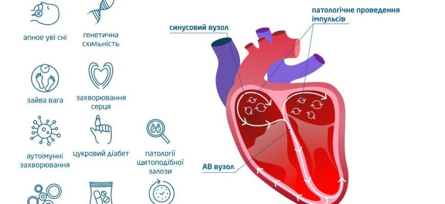 Наслідки аритмії: як серцеві збої впливають на здоров’я організму