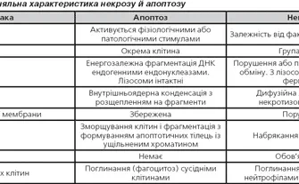 Несприятливі наслідки некрозу: як уникнути та що робити?