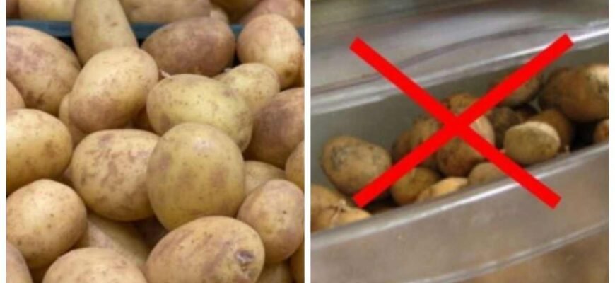 Чи можна їсти картоплю при онкології: поради та застереження лікарів Чи можна їсти картоплю при онкології: поради та застереження лікарів