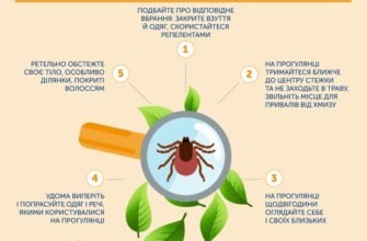 Перша допомога при укусах кліща: як діяти і захистити здоров’я