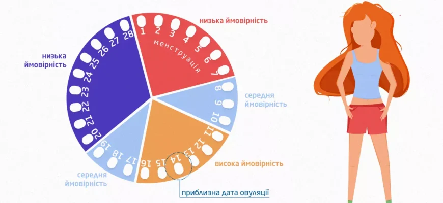 Чи можна завагітніти під час місячних: міфи та реальність для жінок