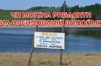 Чи можна ловити рибу на орендованому ставку: правила та поради