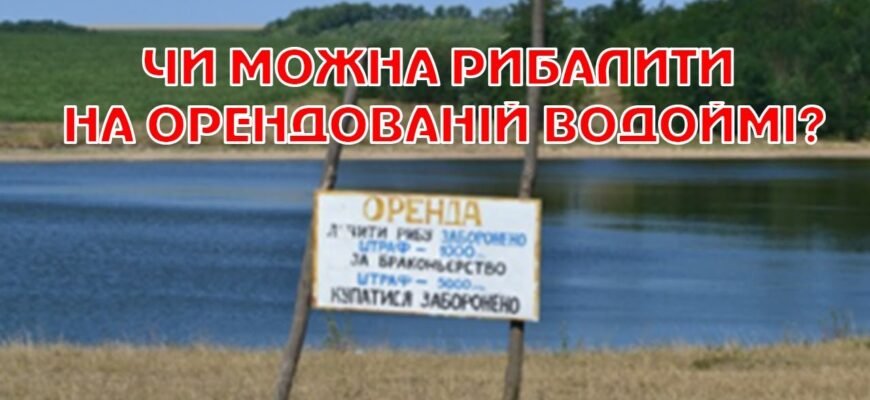 Чи можна ловити рибу на орендованому ставку: правила та поради