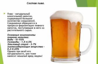 Чи можна пити безалкогольне пиво при антибіотиках: поради лікарів